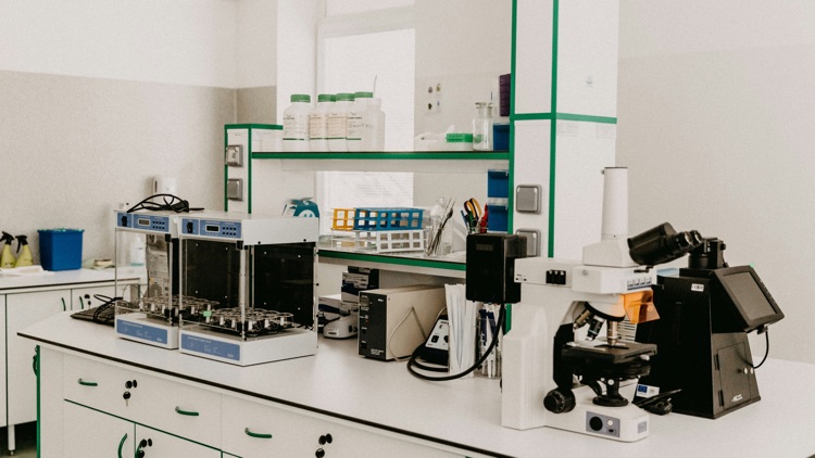 How to Evaluate a Glutathione Manufacturer for B2B Ingredient Sourcing