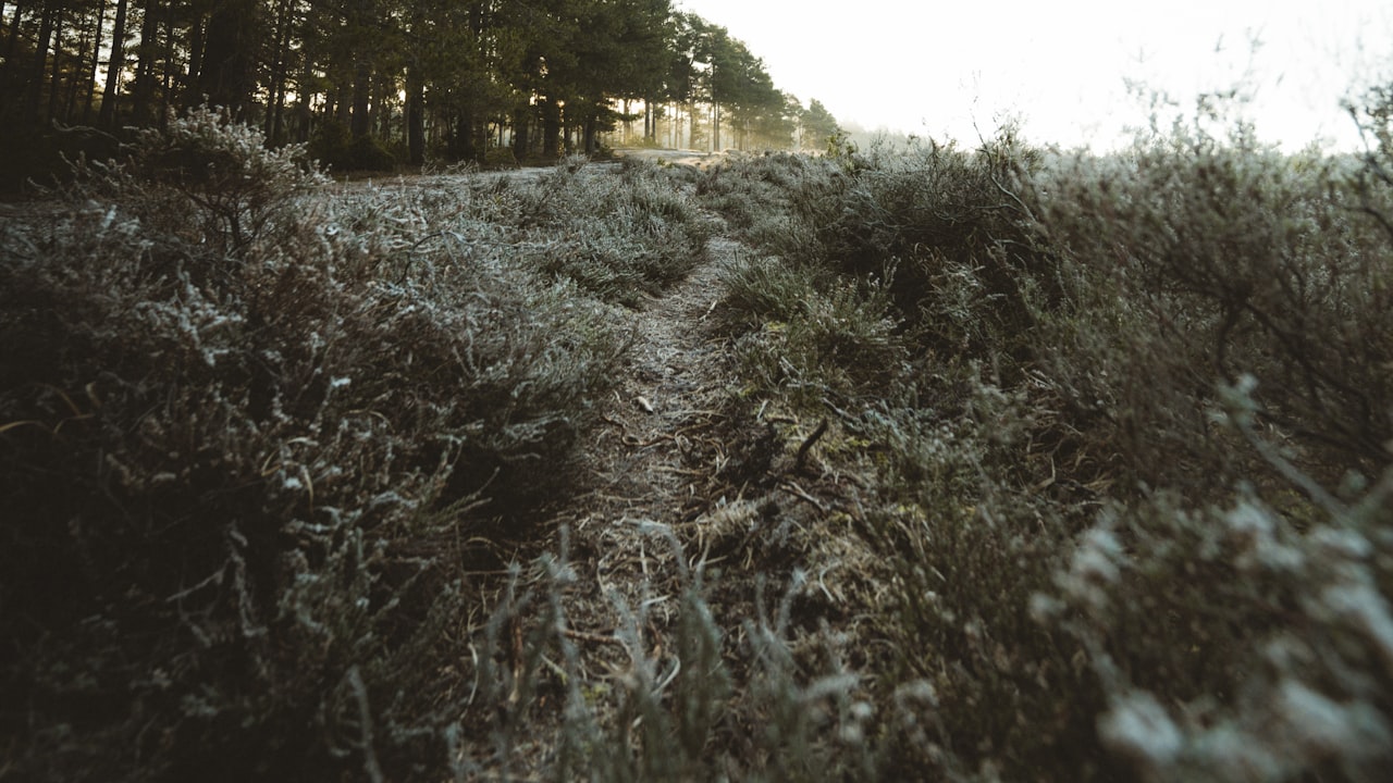 How do cold plates work?