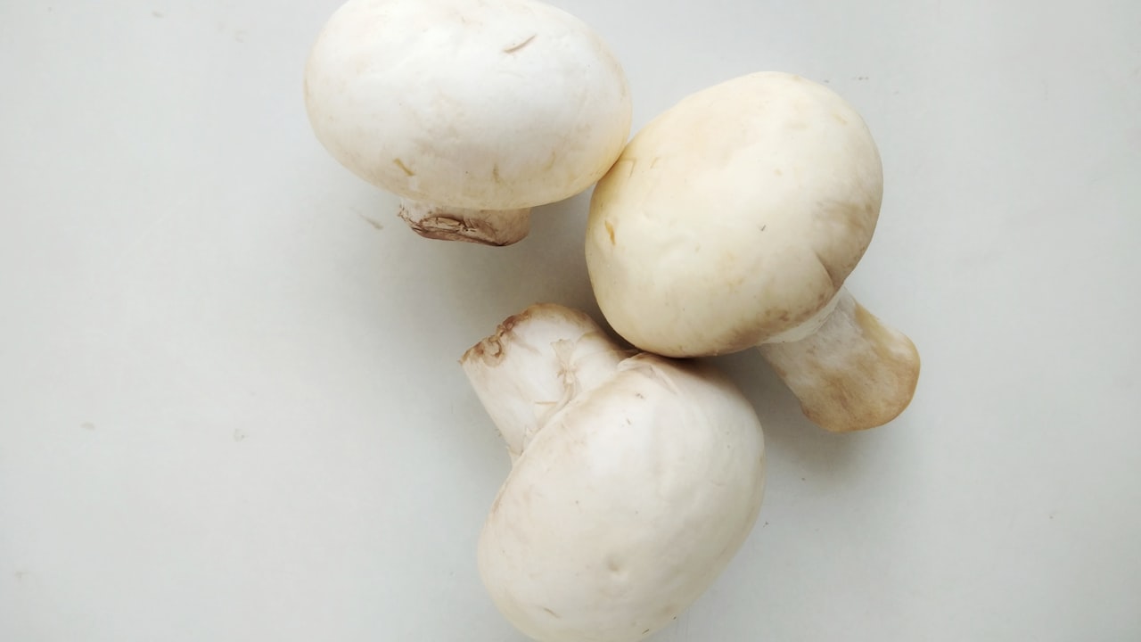 Learning The Advantages of A Portable Treadmill